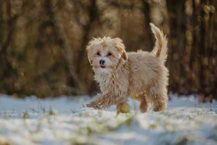 ��� ��������� ������� ���� ������: �������� ������ �� ��������