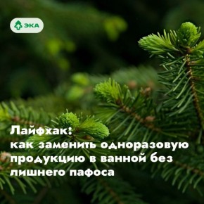 ����������� ������ �� ������: ������������� ������ � ������