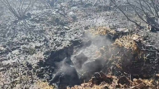 � ���������� ����� ��������� ������������� � �������� ������ ������� ������ �����