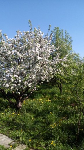 ���������: ����� �� ������������ ��� ��������� �����?