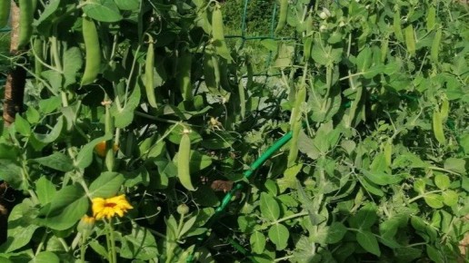 ����� �� ������: ��� �������� ������� ������ � ��������� ������ ������