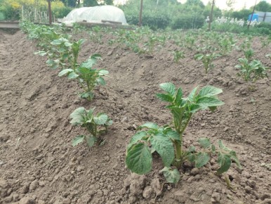 ��� ����� ��������� ������ �� ������: ������� ��������� �������