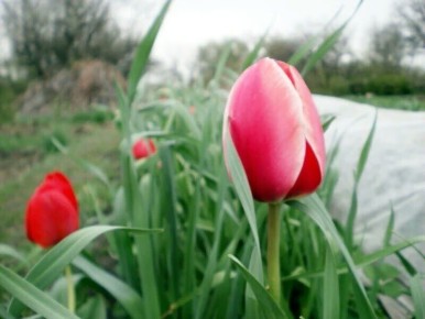 �������� � �� ���������� �����������������: ����� � ����