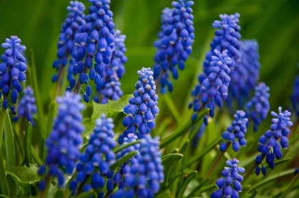 ��������� �������� ������� � �� ������������ ��������