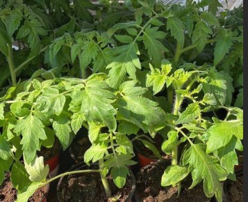 ������� ������ �� ��������� �������: ��� ����� ����� ��������