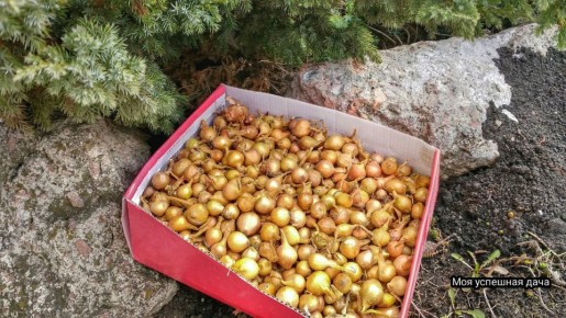 ������� �������� ������� ����: ��� �������� ���������������� ������