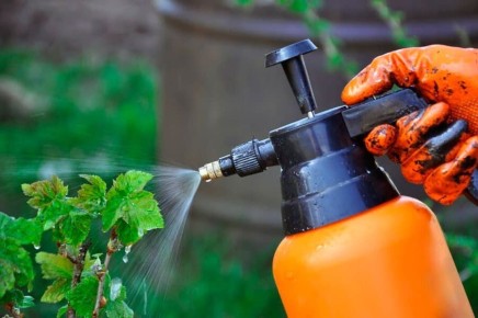 �������� ��������� ���������: ����������� ������ ������ �� ���������� � ��������