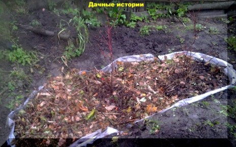 ��� ����� ����� � ������ ������: ���� � ����������