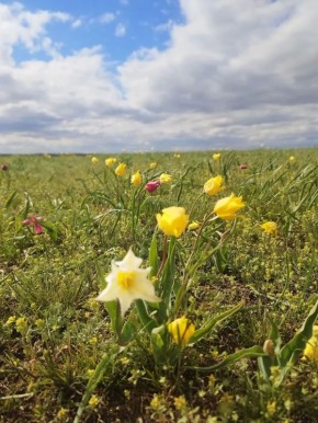 ������ ����, ������! . �������� ���! : �������� ����� ������ � �������