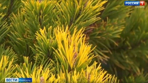 ������� ������� ���� ������� ����������, ��� ��������� ������� �������� ����� ������ ������