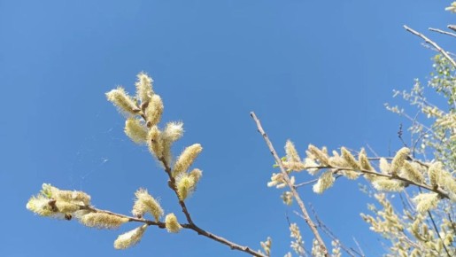 ������ ����!. 24 ������ ��������� ������������ +7...+12 �C ��������� �������� ������ � ������������