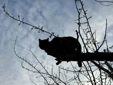 ������ ����!. 25 ������ ��������� ������������ +4...+9 �C ��������� �������� ������