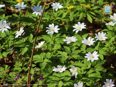 ��� ��������� ���������. ��������� � ����� �� ������ ������� � ������� �������� ���� � ������