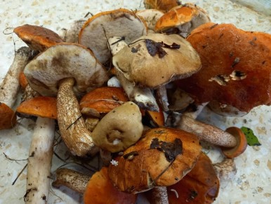 �������� ���� ������: ��� ��������� ���������� �� ������