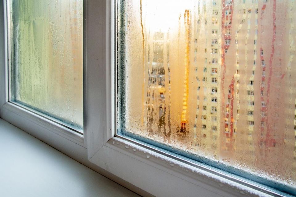 ��� ���������� �� ����������� ����: ������� � ����������� �������