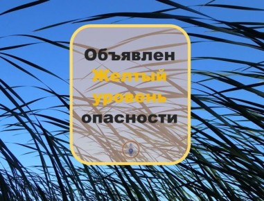 �������� �����. �� ���� ������������ ���ѻ �������� ������������: ��������� ������ ������� ���������