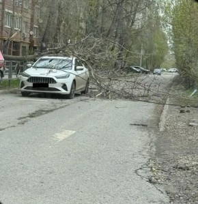 ������ �����! �� ��. �������� ����� ������ �� ������