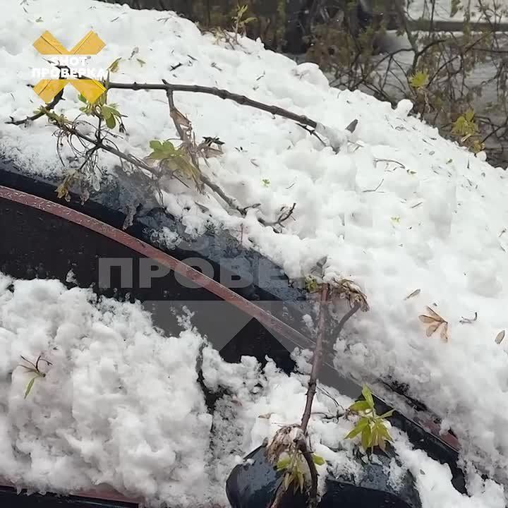 �������� ��������� ��������� ����� ������ � ������ ����������� ������� ����������� �� ������, �� ��������� �������� �������� �������� �����