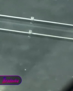 ������ � �������� ����� � ������ ��� �������