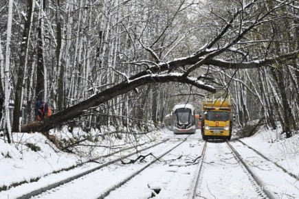 ����� 2000 �������� �������� � ����� 1000 ����� ���������� � ������, ���������� � ��������� �������� ��-�� ������� �������, �� ������ ���