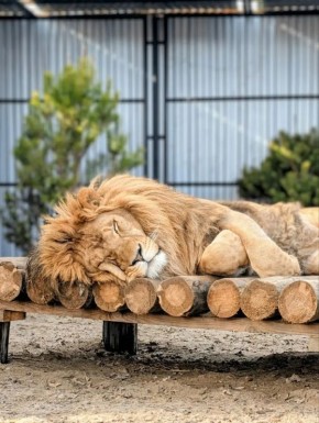 ����� ������� ����� ��������� ����� �������� ������������� ������ �����