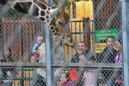 �������� ��������� ��������� ������� � �������� �������� ������