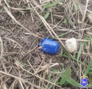 ��� ���������� ��������, ����� ���������� � ������ ���������, �������� ������� �������-�������� ����������� ������� � �������� ������