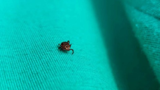 479 ������� ���������� �� ������ ������ � ��������� ������� � ������ ������