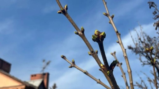 ��������� ���������� �������� ��������� �������� �� ������� ����������