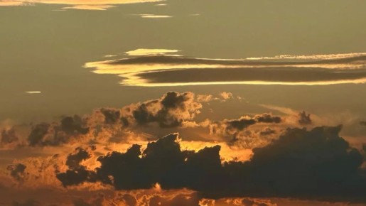 ��������� ������� ������� ����� ������������ ���� 29 ������