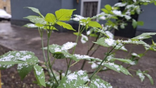 � ��������� ������� �� ��������� ����� ������� ����