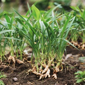 ������ ��� ��������: 5 ������� ������ ��� ������ �������