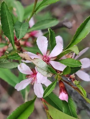 � ��������� ������� ������ ������� ������� - � ����������� �����������