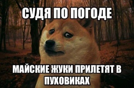 ����� � -1: ��� ������ ������ �������� �� ��������