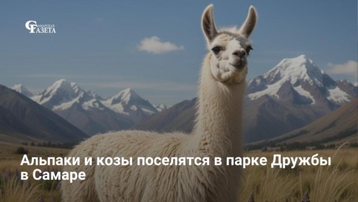 � ��������� ����� ������ ������ ������������ ���������� �������� � ���������