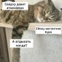 ��������� ���� ��������� �� ������ �������� 6 ���