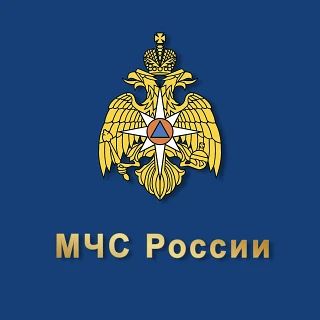 В Самаре прошли соревнования по кроссфиту среди сотрудников силовых ведомств
