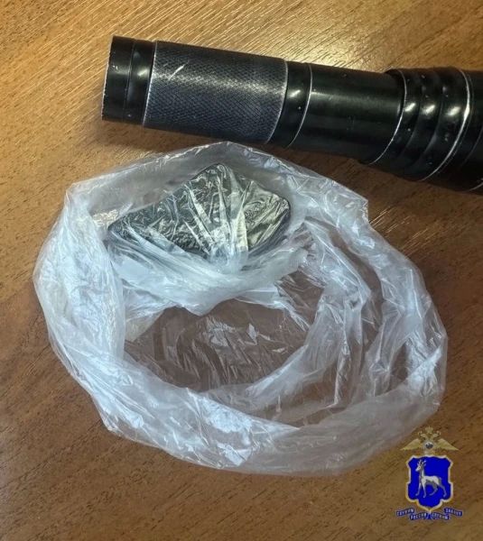 В Тольятти полицейские задержали подозреваемую в хранении наркотиков