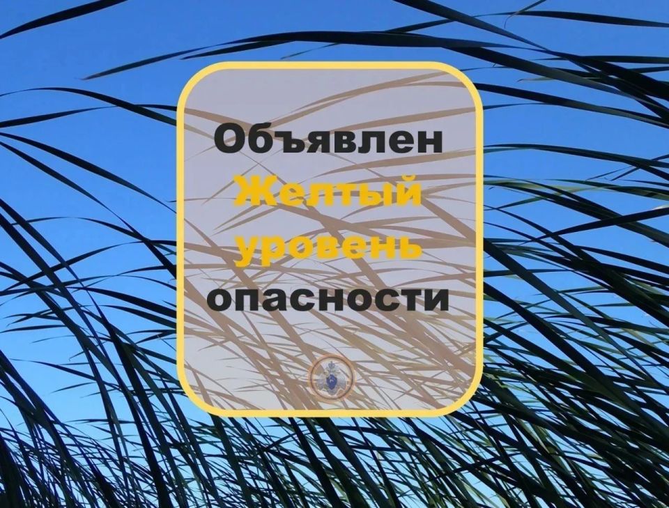 Внимание Ветер. Приволжское УГМС информирует: «Объявлен желтый уровень опасности
