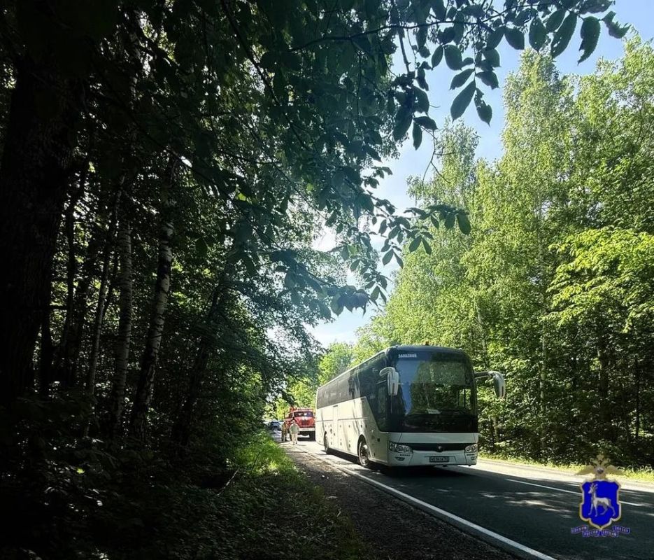 Автобус с 44 детьми столкнулся с легковушкой в Самарской области