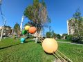 Доброе утро!. 23 мая столбики термометров поднимутся до +27...+29 °C Синоптики прогнозируют малооблачную погоду