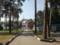 Уходим в тень!. Солнце печет не по-детски! Где же погулять в выходные с семьей?