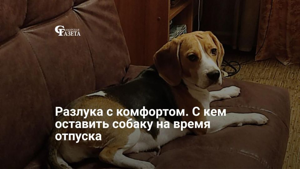 Куплены билеты, собран чемодан, впереди приятные дни долгожданного отдыха… Но что делать с четвероногими членами семьи? Идеальный вариант — путешествовать вместе с ними, но это, увы, не всегда возможно