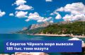 Море очищено! Как спасают побережье Черного моря после мазута?