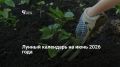 Горожане обычно планируют работу на дачных участках на выходные дни