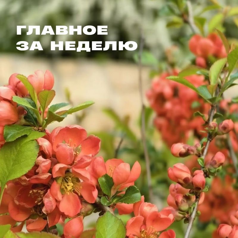Спортивные турниры, преображения и теплые поздравления