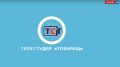 Телестудия «Товарищ»: «Связь»