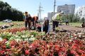 Тольятти - властелин дорожных колец