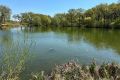�����, �� ������� ������� �������: ������ ����� ������� ���� ������ ������