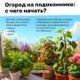������ �� �����������: ��� ����� ��������� � ��� ��� ����� �����
